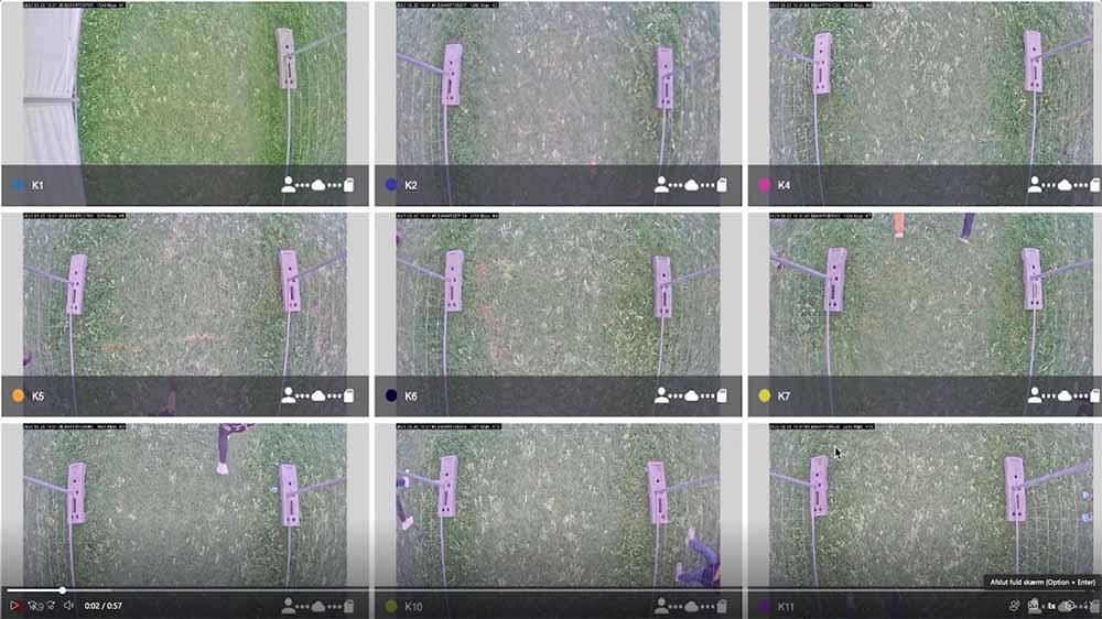 Inspektion af hegnslinje